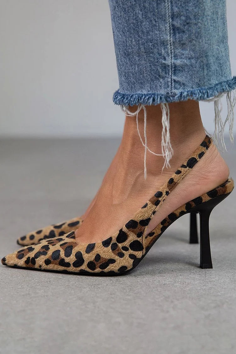Leopard / 43