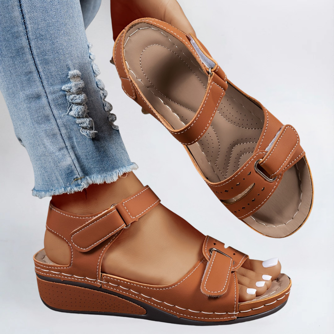 Brown / 12