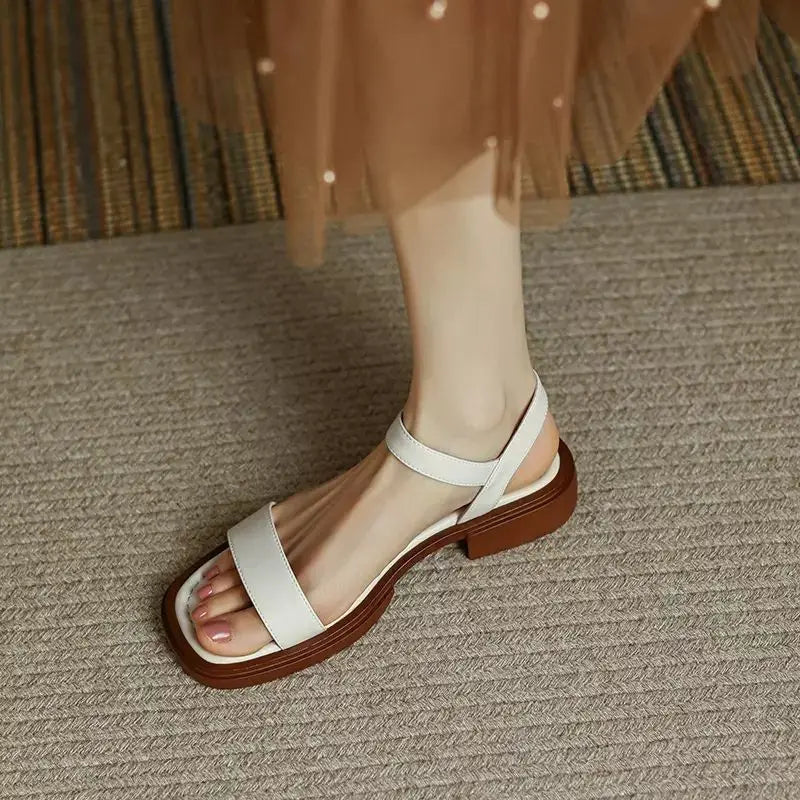 White / 12 US / 43 EU