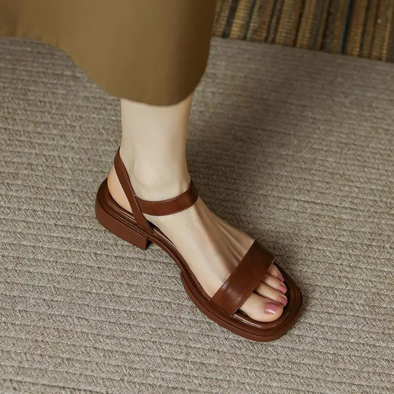 Brown / 12 US / 43 EU